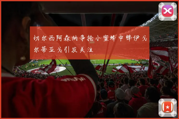 切尔西阿森纳争抢小蜜蜂中锋伊戈尔蒂亚戈引发关注